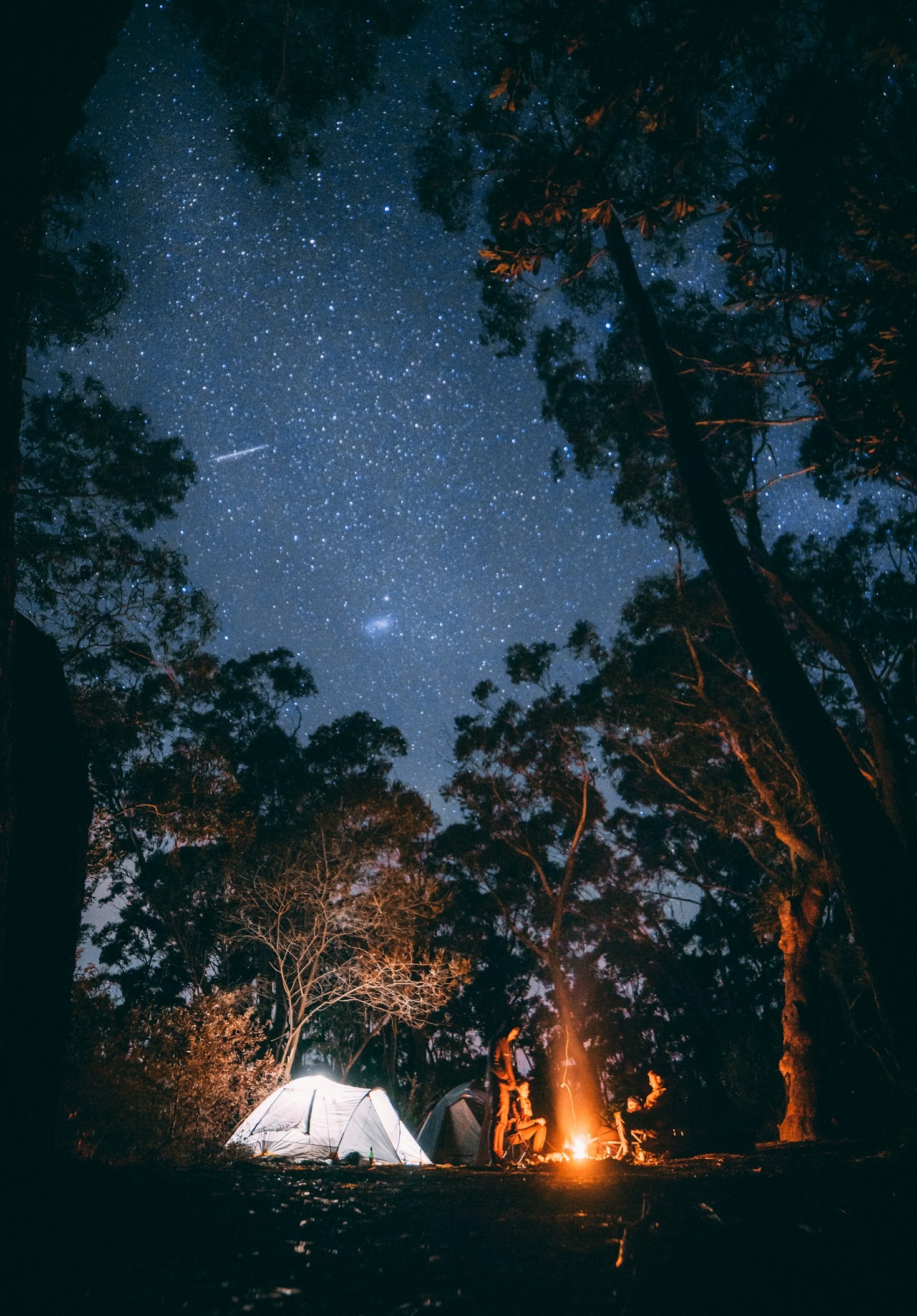 How to Stay Safe During Your Camping Adventures