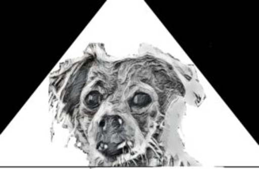 That Doggone Campground